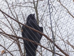 Tiergarten Schönbrunn am 12.03.2025